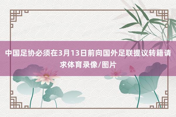 中国足协必须在3月13日前向国外足联提议转籍请求体育录像/图片
