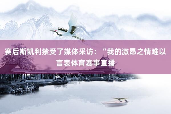 赛后斯凯利禁受了媒体采访：“我的激昂之情难以言表体育赛事直播