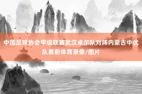 中国足球协会甲级联赛武汉卓尔队对阵内蒙古中优队赛前体育录像/图片