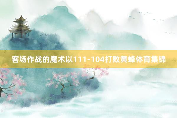 客场作战的魔术以111-104打败黄蜂体育集锦