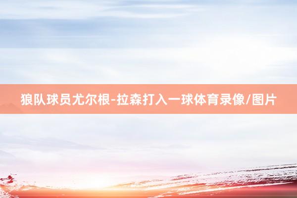 狼队球员尤尔根-拉森打入一球体育录像/图片