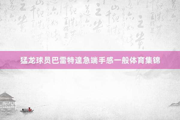 猛龙球员巴雷特遑急端手感一般体育集锦