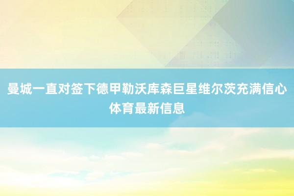 曼城一直对签下德甲勒沃库森巨星维尔茨充满信心体育最新信息