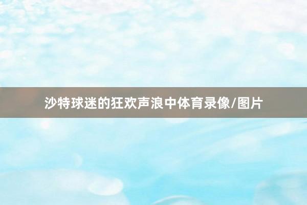 沙特球迷的狂欢声浪中体育录像/图片