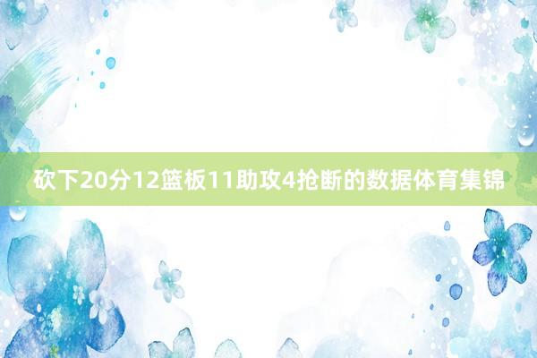 砍下20分12篮板11助攻4抢断的数据体育集锦