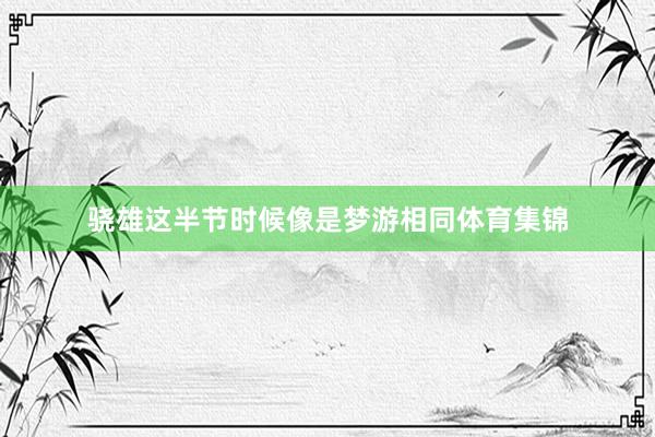 骁雄这半节时候像是梦游相同体育集锦