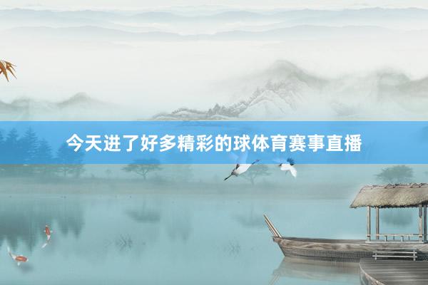今天进了好多精彩的球体育赛事直播