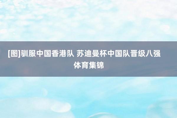 [图]驯服中国香港队 苏迪曼杯中国队晋级八强    体育集锦