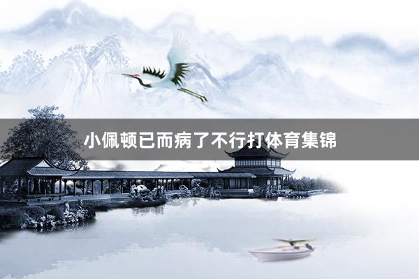 小佩顿已而病了不行打体育集锦