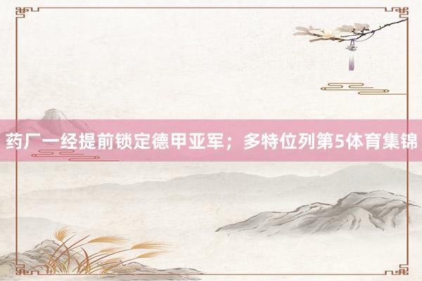 药厂一经提前锁定德甲亚军；多特位列第5体育集锦