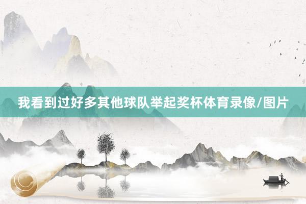 我看到过好多其他球队举起奖杯体育录像/图片