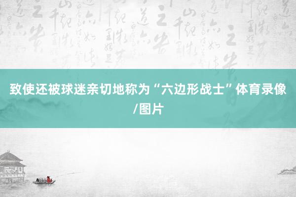 致使还被球迷亲切地称为“六边形战士”体育录像/图片