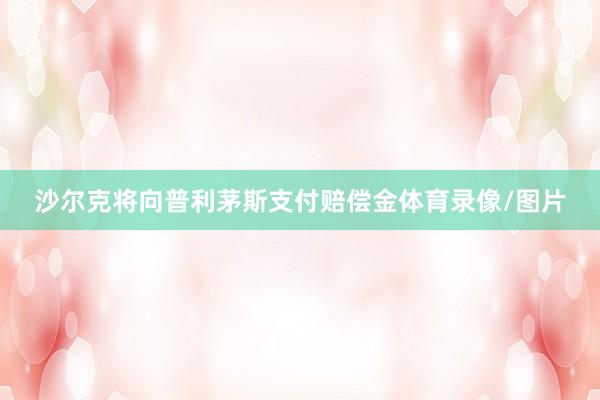 沙尔克将向普利茅斯支付赔偿金体育录像/图片