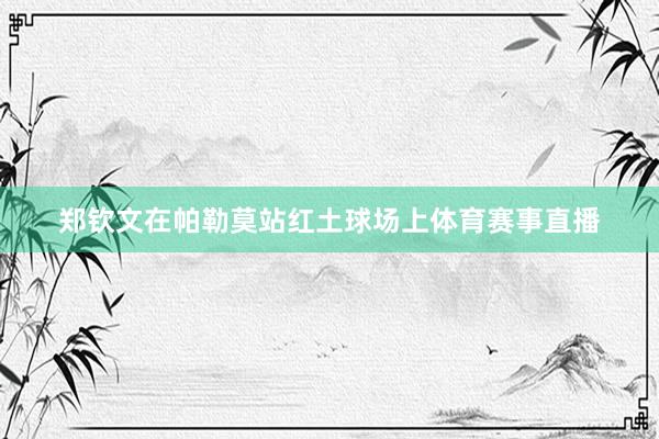 郑钦文在帕勒莫站红土球场上体育赛事直播