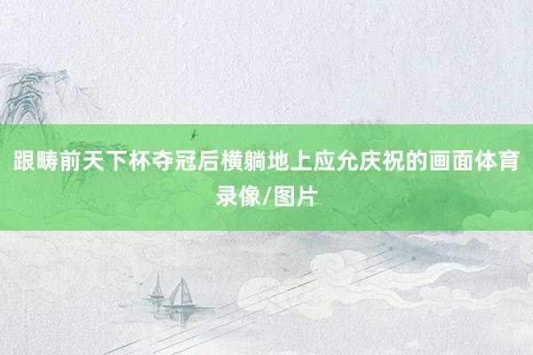 跟畴前天下杯夺冠后横躺地上应允庆祝的画面体育录像/图片