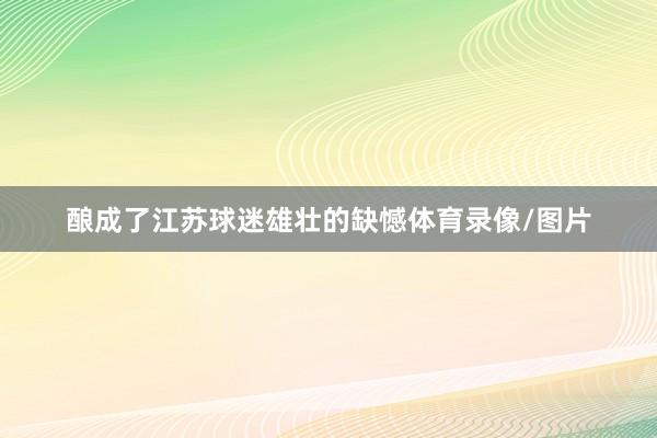酿成了江苏球迷雄壮的缺憾体育录像/图片