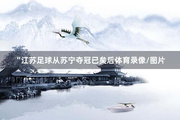 “江苏足球从苏宁夺冠已矣后体育录像/图片