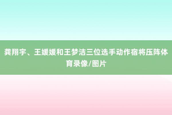 龚翔宇、王媛媛和王梦洁三位选手动作宿将压阵体育录像/图片