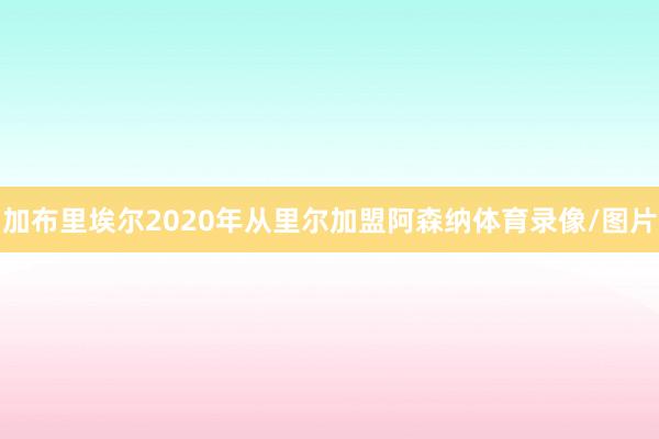 加布里埃尔2020年从里尔加盟阿森纳体育录像/图片