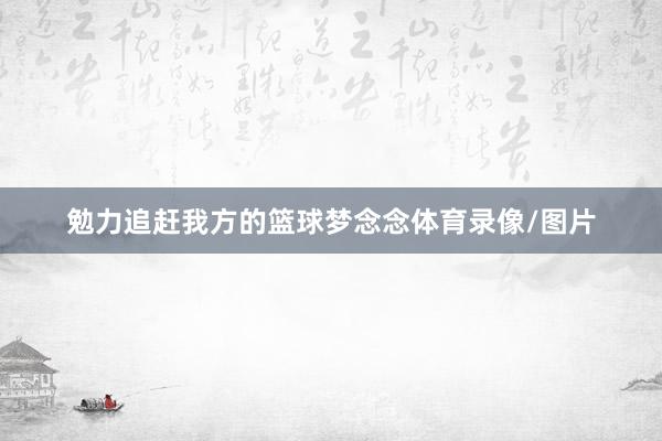 勉力追赶我方的篮球梦念念体育录像/图片