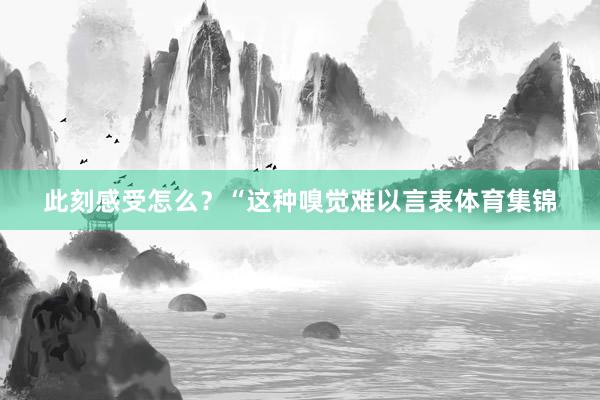 此刻感受怎么？“这种嗅觉难以言表体育集锦