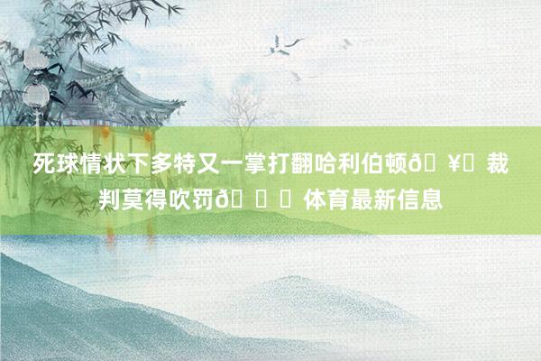 死球情状下多特又一掌打翻哈利伯顿🥊裁判莫得吹罚👀体育最新信息