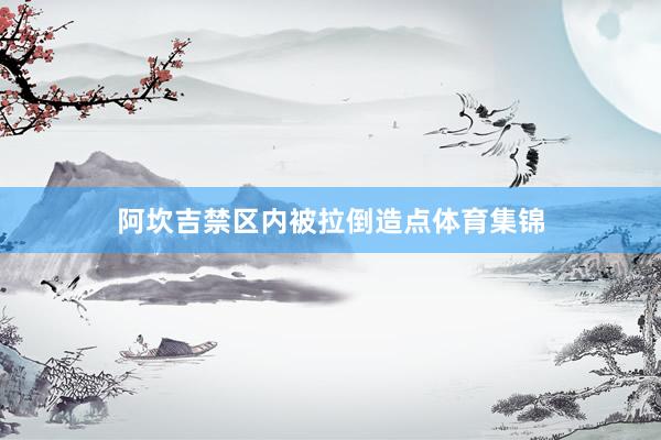 阿坎吉禁区内被拉倒造点体育集锦