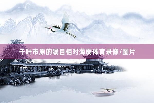 千叶市原的瞩目相对薄弱体育录像/图片