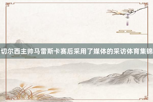 切尔西主帅马雷斯卡赛后采用了媒体的采访体育集锦