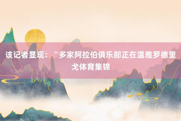 该记者显现：“多家阿拉伯俱乐部正在温雅罗德里戈体育集锦