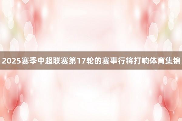 2025赛季中超联赛第17轮的赛事行将打响体育集锦