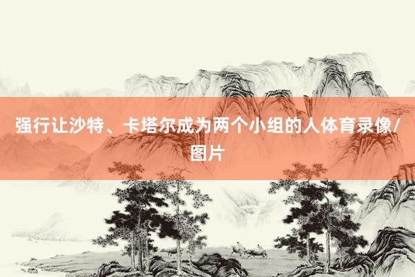 强行让沙特、卡塔尔成为两个小组的人体育录像/图片