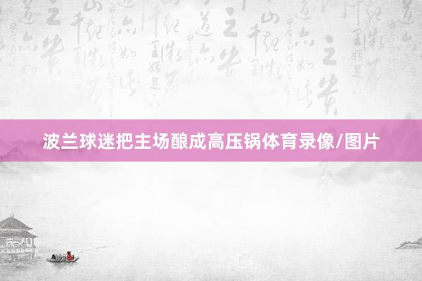 波兰球迷把主场酿成高压锅体育录像/图片