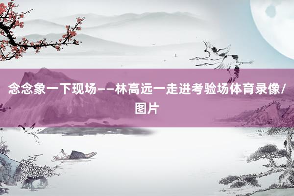 念念象一下现场——林高远一走进考验场体育录像/图片