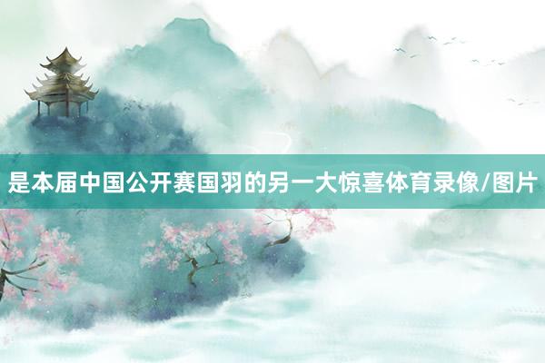 是本届中国公开赛国羽的另一大惊喜体育录像/图片