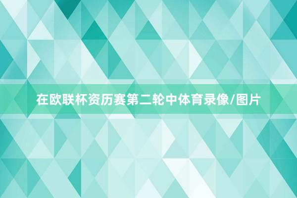 在欧联杯资历赛第二轮中体育录像/图片