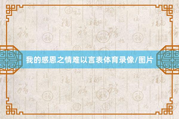 我的感恩之情难以言表体育录像/图片