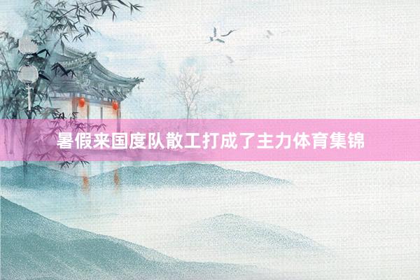 暑假来国度队散工打成了主力体育集锦