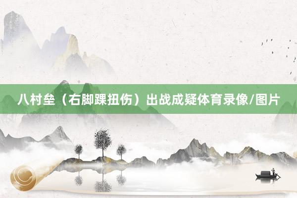 八村垒（右脚踝扭伤）出战成疑体育录像/图片