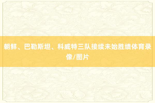 朝鲜、巴勒斯坦、科威特三队接续未始胜绩体育录像/图片