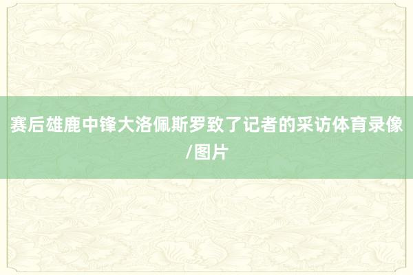 赛后雄鹿中锋大洛佩斯罗致了记者的采访体育录像/图片
