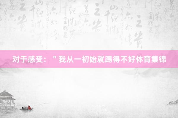 对于感受：＂我从一初始就踢得不好体育集锦