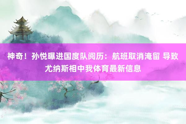 神奇！孙悦曝进国度队阅历：航班取消淹留 导致尤纳斯相中我体育最新信息