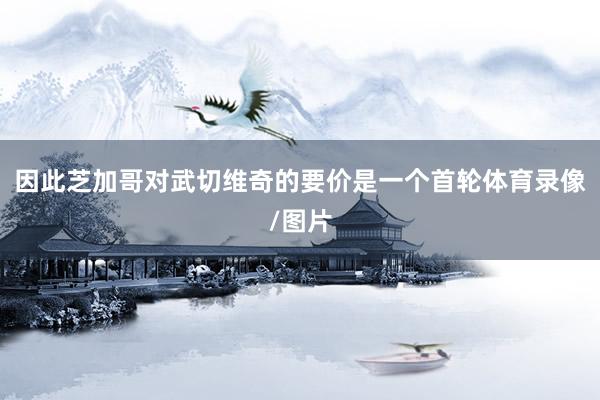 因此芝加哥对武切维奇的要价是一个首轮体育录像/图片