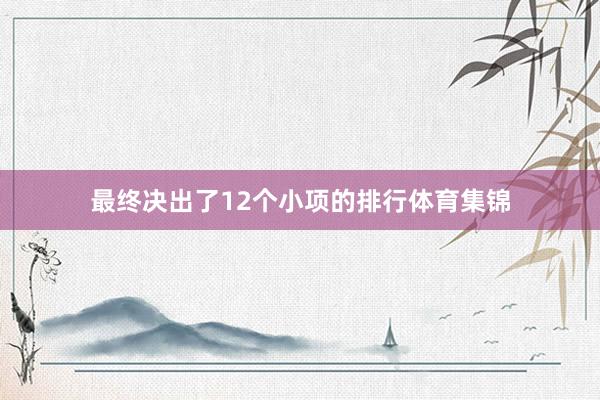 最终决出了12个小项的排行体育集锦