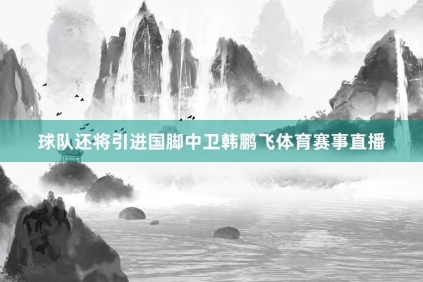 球队还将引进国脚中卫韩鹏飞体育赛事直播
