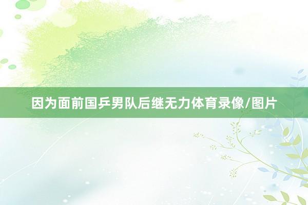 因为面前国乒男队后继无力体育录像/图片