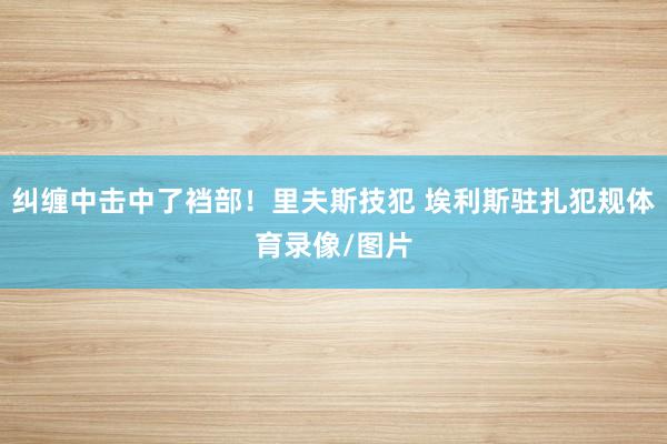 纠缠中击中了裆部！里夫斯技犯 埃利斯驻扎犯规体育录像/图片