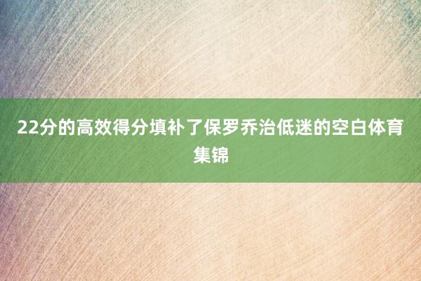 22分的高效得分填补了保罗乔治低迷的空白体育集锦