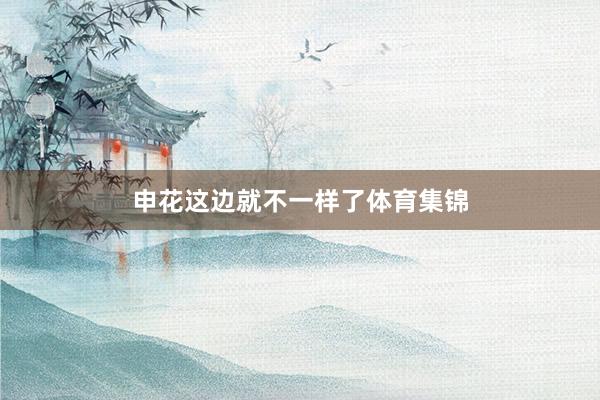 申花这边就不一样了体育集锦